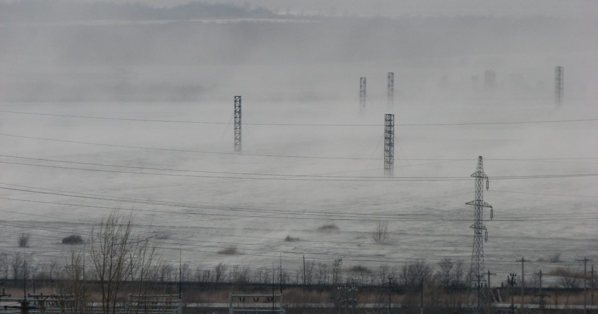 ,,Moartea albă”  face ravagii în Clisura Dunării !