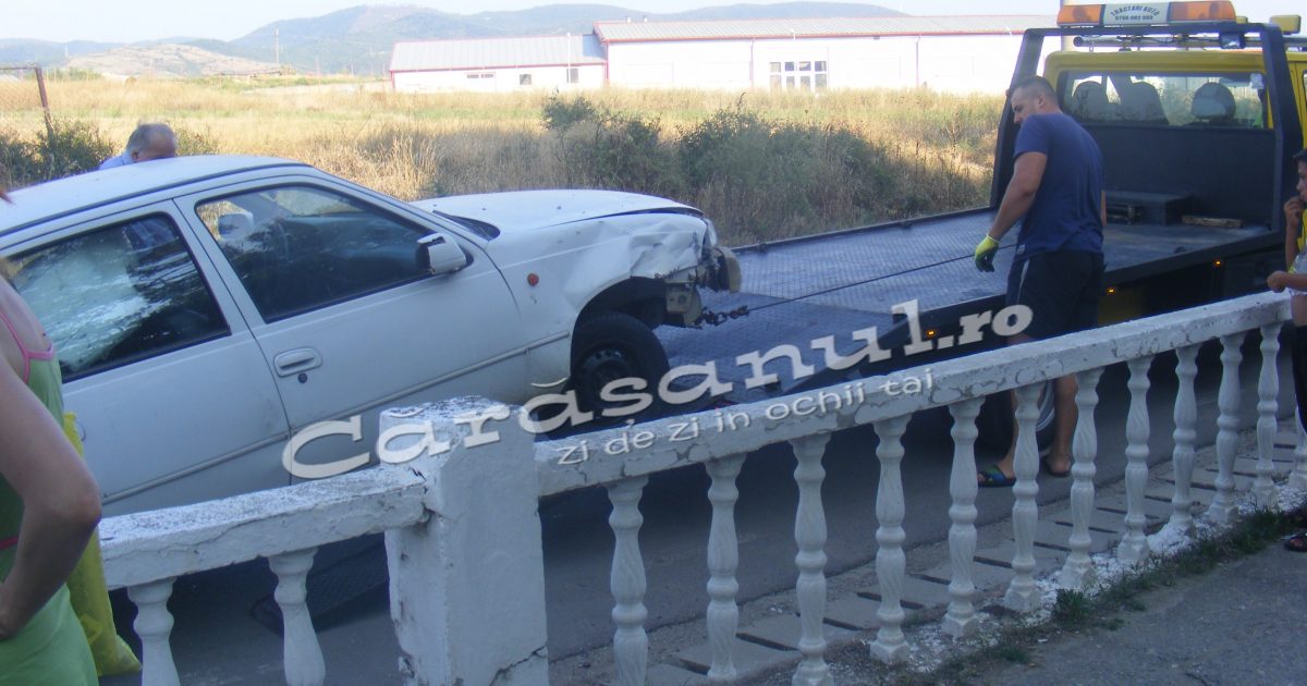  Tăbușcă din nou în gard!