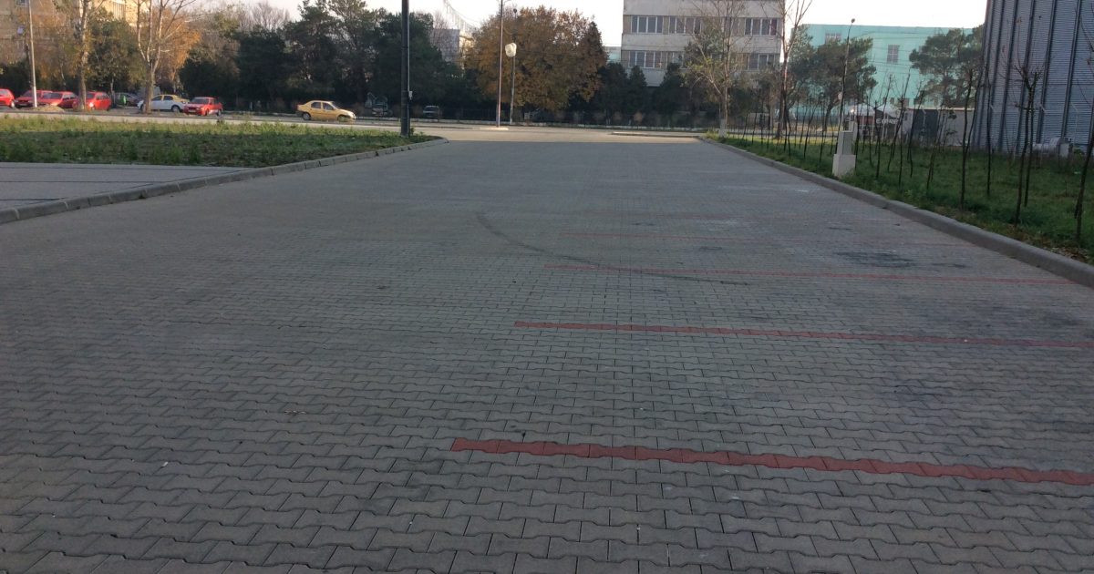,, Elis Pavaje,, tulbură politica din Caraş-Severin!