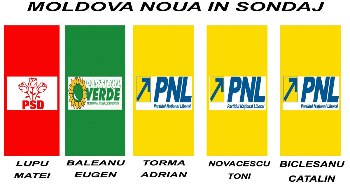 Liberalii ,,fură ,,startul !