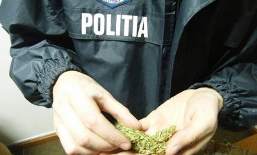 Poliţiştii au confiscat peste 10 kg de canabis şi au reţinut 4 traficanţi de droguri