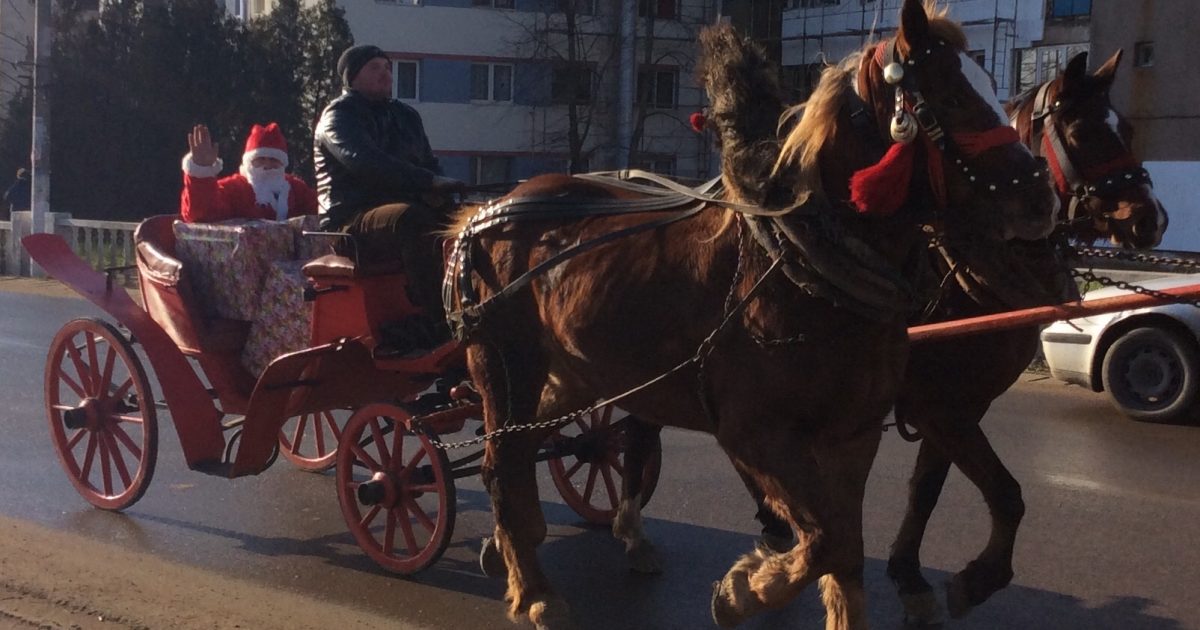 Urmărit general,umblă nestingherit prin Moldova Nouă!.