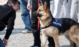 Evadat periculos, prins lângă Berzovia! Oamenii legii, cu un câine poliţist, îl caută pe al doilea evadat.