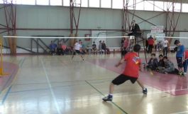 "Cupa Bârzava" la badminton, un real succes