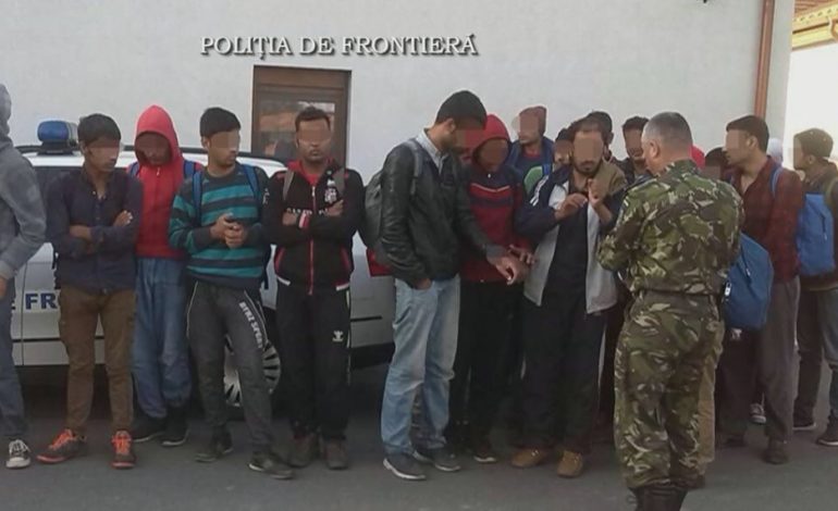 Tot mai mulți emigranți trec frontiera sârbo-română!