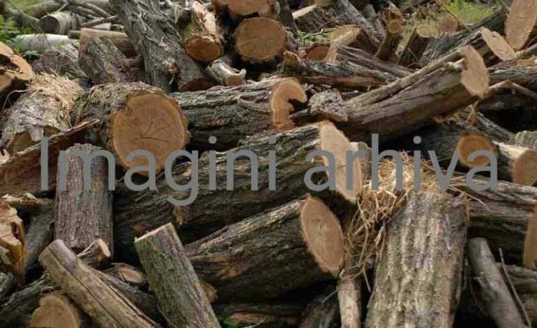 Surprinşi de jandarmi!