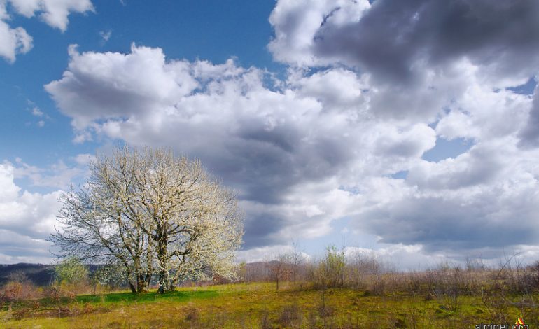 Vremea a luat-o razna, temperaturi de primăvară!