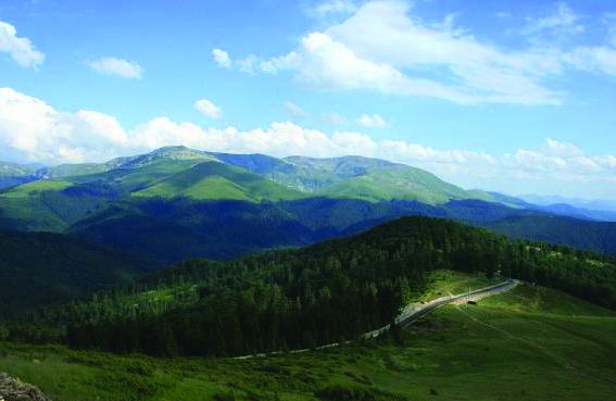 Locuitorii din Munții Țarcu: "Avem suficientă sălbăticie".