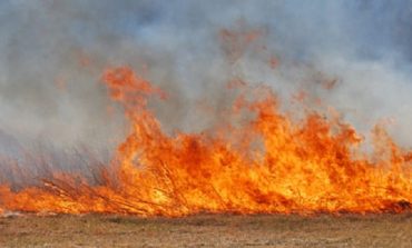 Atenție la cum ardeti resturile vegetale! Zeci de hectare incendiate în județ.