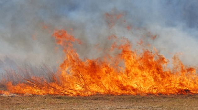 Atenție la cum ardeti resturile vegetale! Zeci de hectare incendiate în județ.