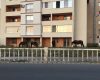,,M9 Evolution ,,atracția crescătorilor de animale!Liber la pășunat,fără taxe!
