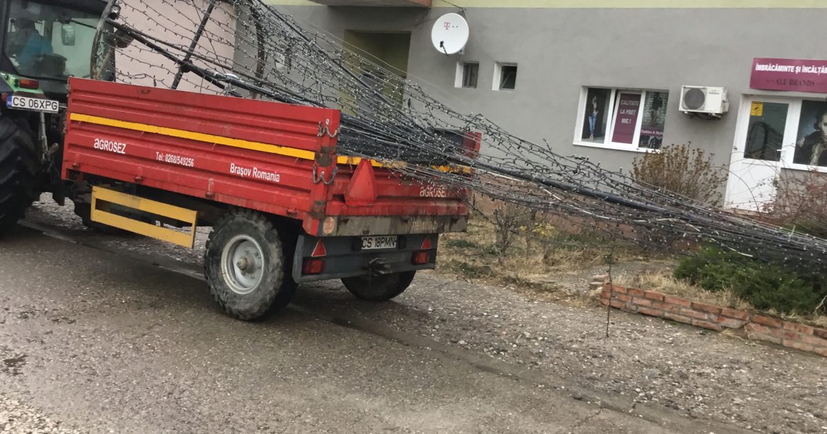 Bradul de Craciun a ajuns in centrul orasului Moldova Noua!