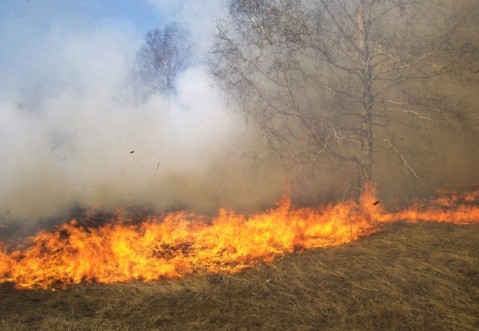Incendiu puternic de vegetatie in aproprierea orasului Moldova Noua