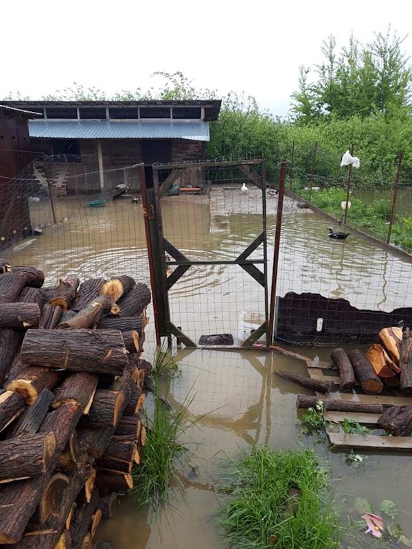 Inundații în Caraș-Severin, Comitetul Județean pentru Situații de Urgență a fost activat
