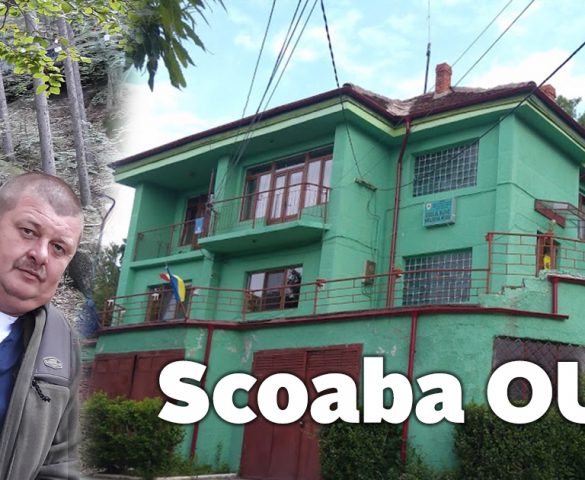 ,,Jale mare la Moldova Nouă”, Cârpean Ioan (Scoabă) a fost schimbat din funcţia de şef Ocolul Silvic Moldova Nouă!