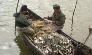Ministerul Agriculturii in scandal cu pescarii,pescuitul pe Dunare va fi interzis!