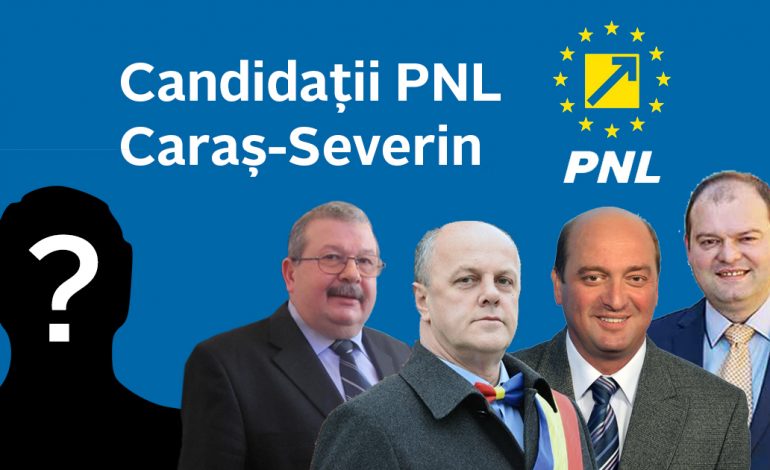 Gata lista ,liberalii își stabilesc astazi candidații la primării