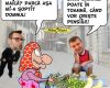 PSD Caras-Severin scos la vanzare?