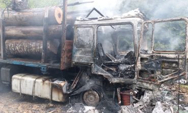"Blestemele" ecologiștilor îi ajung din urmă pe transportatori de lemne.
