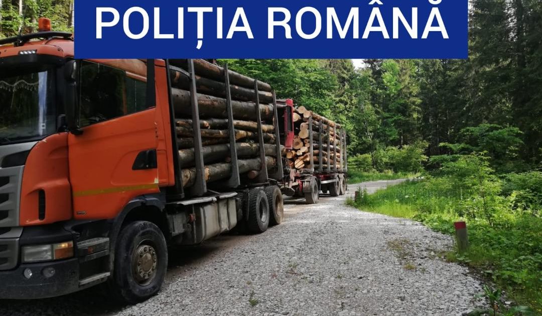 Material lemnos de peste 7.000 de lei, confiscat , de polițiști