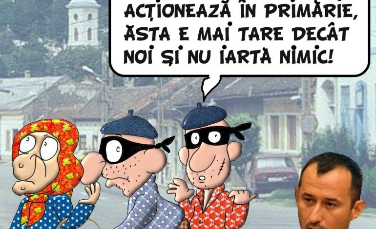 Torma vinde tot!Pasunea satului Macesti, vanduta pe nimic!