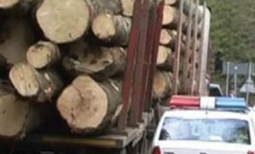 Codul Silvic,schimbari majore!Hotii de lemne raman fara masinile utilizate la comiterea infractiunilor