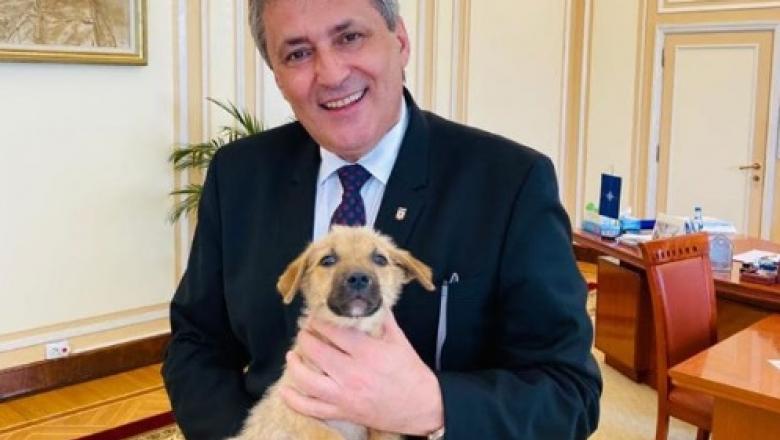 Marcel Vela:Guvernul României a aprobat prin ordonanţă de urgenţă , înfiinţarea Poliţiei Animalelor.
