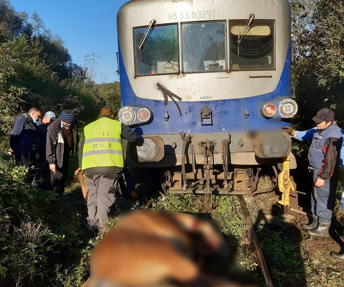 Circulația feroviară pe ruta Vasiova -Bocsa inchisa!Doi cai au deraiat un tren  !