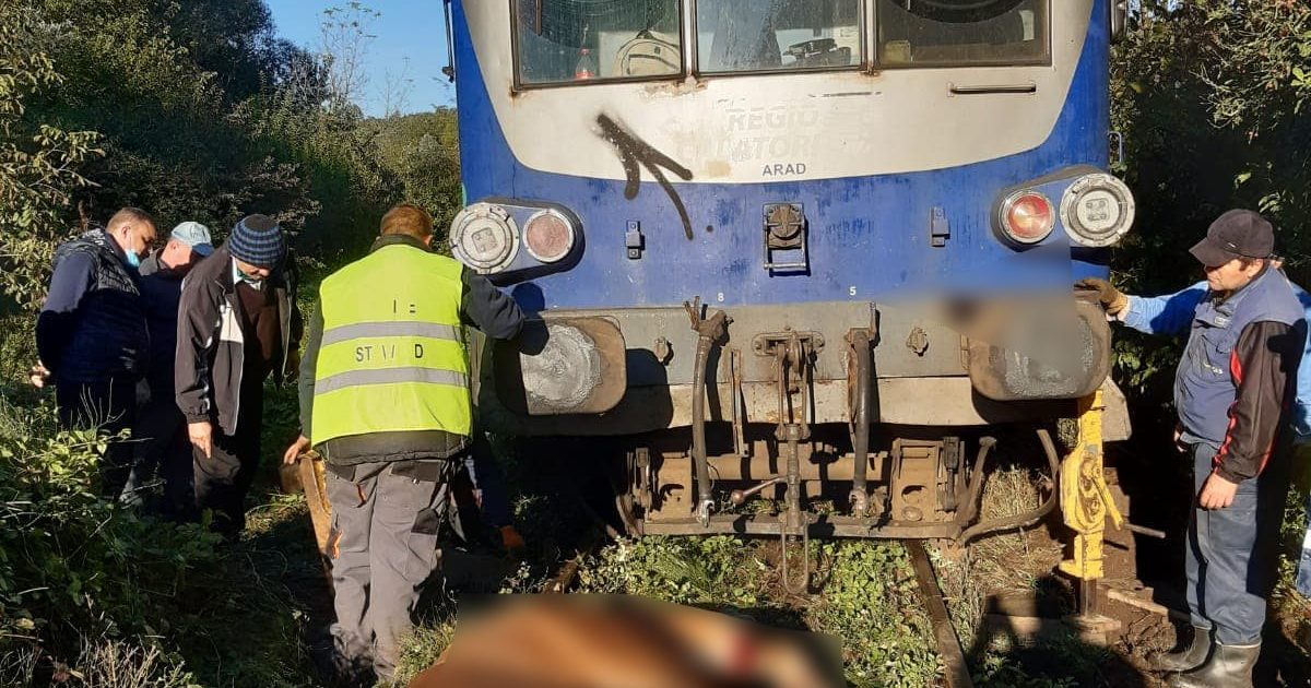 Circulația feroviară pe ruta Vasiova -Bocsa inchisa!Doi cai au deraiat un tren  !