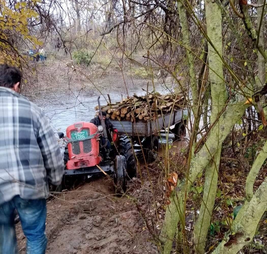 Grupul Ecologic de Colaborare Nera ;sarbii din Serbia fura lemnul de pe malul românesc al râului Nera, în zona localității Pârneaura!