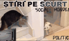 STIRI PE SCURT.FOARTE PE SCURT.SI PUTIN UMOR