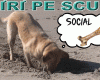 STIRI PE SCURT.FOARTE PE SCURT.