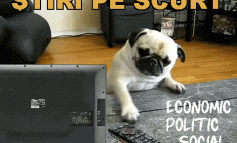 STIRI PE SCURT.FOARTE PE SCURT.SI PUTIN UMOR!!!