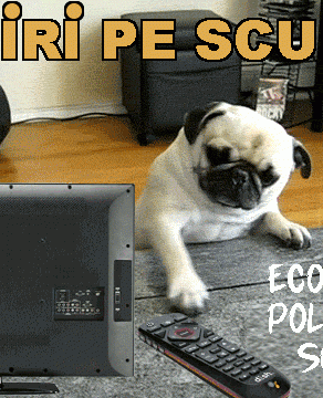 STIRI PE SCURT.FOARTE PE SCURT.SI PUTIN UMOR!!!