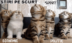 STIRI PE SCURT.FOARTE PE SCURT.SI PUTIN UMOR!!!