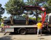 Probleme majore pentru soferi jmecheri!Mașinile parcate pe trotuar sau pe spații verzi vor putea fi ridicate!