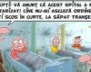 CA IN VREMURI DE RAZBOI