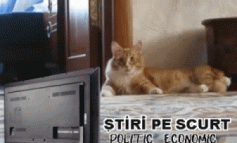 STIRI PE SCURT.FOARTE PE SCURT.SI PUTIN UMOR!!!