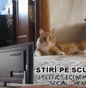 STIRI PE SCURT.FOARTE PE SCURT.SI PUTIN UMOR!!!