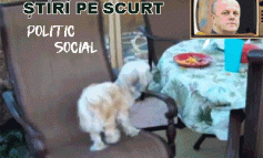 STIRI PE SCURT.FOARTE PE SCURT.SI PUTIN UMOR!!!