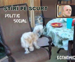 STIRI PE SCURT.FOARTE PE SCURT.SI PUTIN UMOR!!!