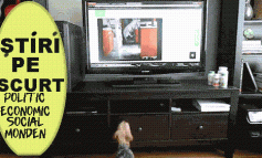 STIRI PE SCURT.FOARTE PE SCURT.SI PUTIN UMOR!!!