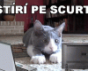 STIRI PE SCURT.FOARTE PE SCURT.SI PUTIN UMOR
