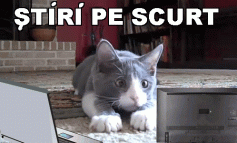 STIRI PE SCURT.FOARTE PE SCURT.SI PUTIN UMOR