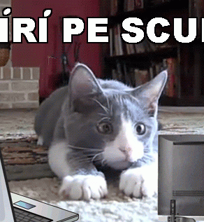 STIRI PE SCURT.FOARTE PE SCURT.SI PUTIN UMOR