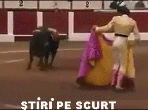 STIRI PE SCURT.FOARTE PE SCURT.SI PUTIN UMOR!!!