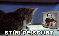 STIRI PE SCURT. FOARTE PE SCURT.SI PUTIN UMOR!!!
