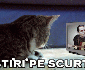 STIRI PE SCURT. FOARTE PE SCURT.SI PUTIN UMOR!!!