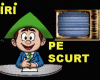 STIRI PE SCURT.FOARTE PE SCURT.SI PUTIN UMOR!!!