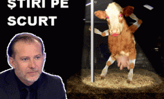 STIRI PE SCURT.FOARTE PE SCURT.SI PUTIN UMOR!